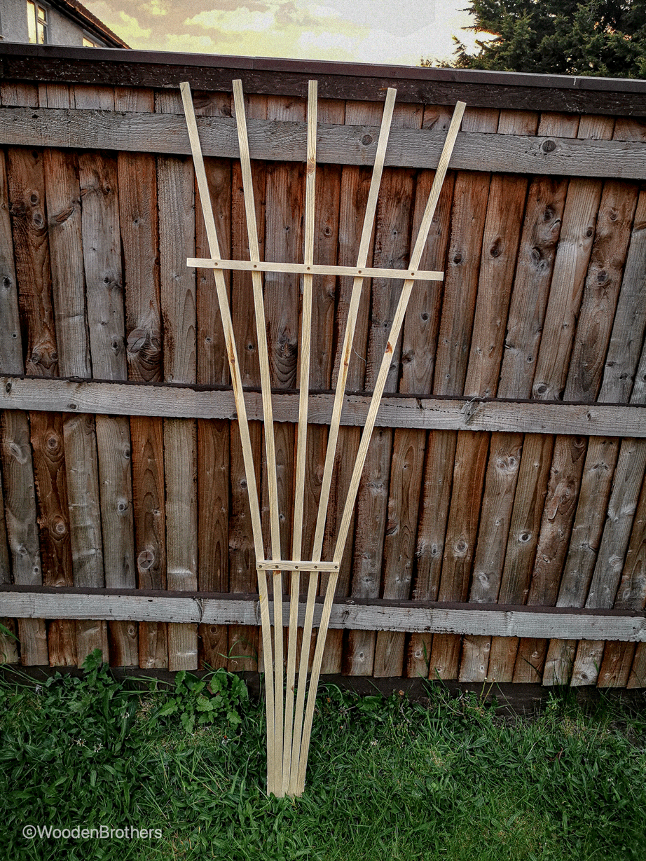 Garden fan trellis