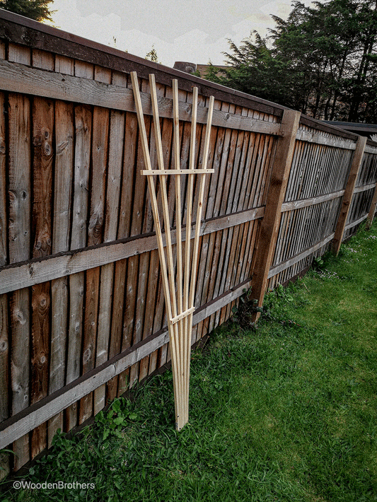 Garden fan trellis